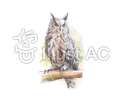 フクロウイラスト No 無料イラストなら イラストac