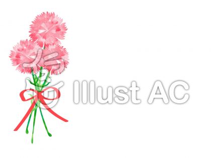 感謝のカーネーションイラスト Yanのはらっぱブログ