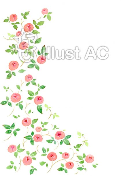 つるバライラスト 無料イラストなら イラストac