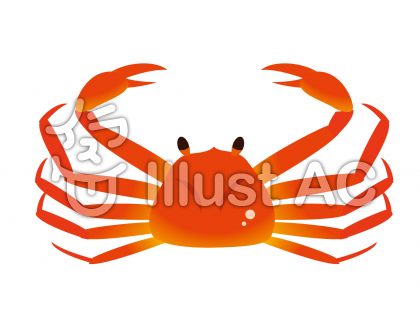 ズワイガニイラスト 無料イラストなら イラストac