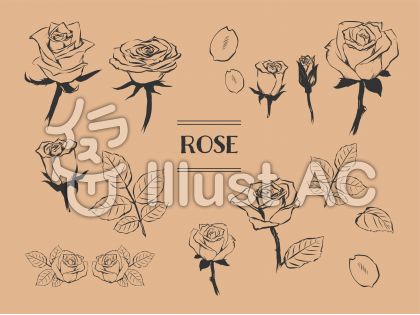 黒薔薇イラスト 無料イラストなら イラストac