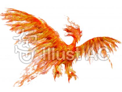 綺麗 火 の 鳥 イラスト 最高の新しい壁紙aahd