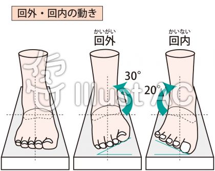 回外イラスト 無料イラストなら イラストac