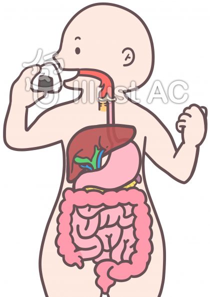 人体図イラスト 無料イラストなら イラストac