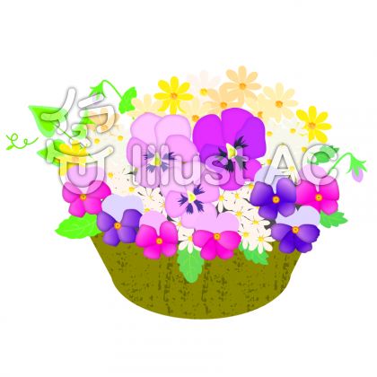ビオライラスト 無料イラストなら イラストac
