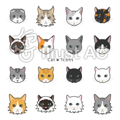 シャム猫イラスト 無料イラストなら イラストac