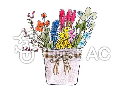 ドライフラワーイラスト 無料イラストなら イラストac