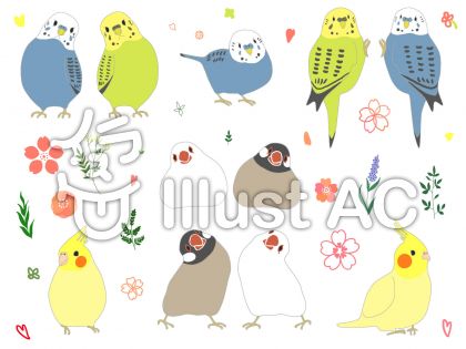 最も人気のある 壁紙 ゆるい インコ イラスト かわいい 犬 イラスト 無料