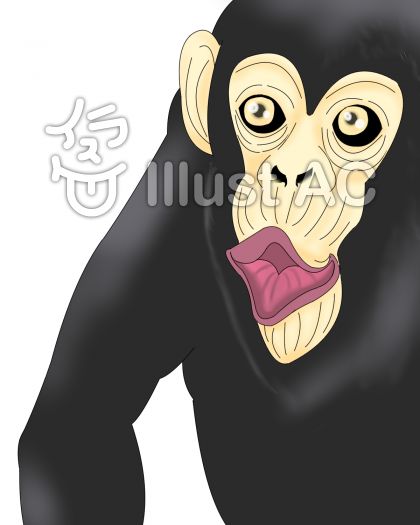 無料でダウンロード さる 猿 イラスト リアル 最高の画像壁紙日本aad