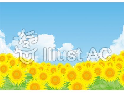 ひまわり畑イラスト 無料イラストなら イラストac