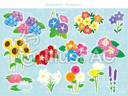 夏の花 セットイラスト No 1453053 無料イラストなら イラストac