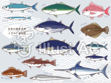 無料ダウンロード 手書き 魚 イラスト フリー 動物画像無料