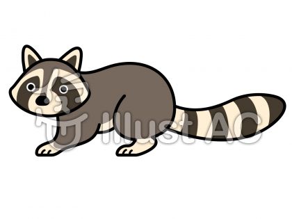 アライグマのイラストイラスト No 1460879 無料イラストなら イラストac