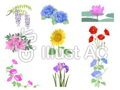 初夏と夏の花のセットイラスト No 無料イラストなら イラストac