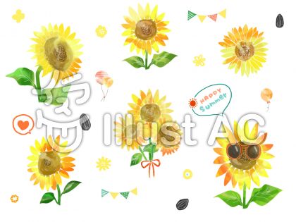 ひまわりの種イラスト 無料イラストなら イラストac