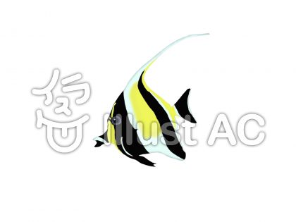 すべての動物の画像 綺麗な沖縄 魚 イラスト