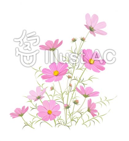 10月の花イラスト 無料イラストなら イラストac