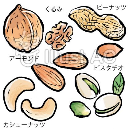 ナッツイラスト 無料イラストなら イラストac