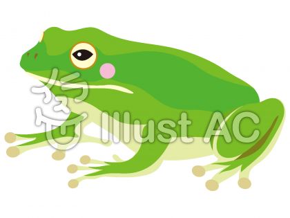 アマガエルイラスト 無料イラストなら イラストac