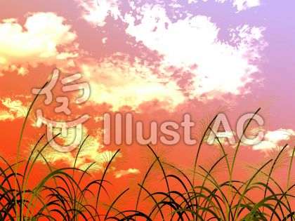 秋 壁紙 背景 すすき 夕暮れイラスト No 無料イラストなら イラストac