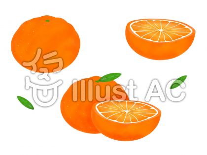 エレガントオレンジ 輪切り イラスト ただのディズニー画像