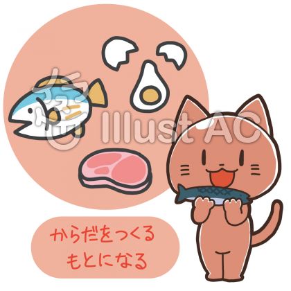 猫と赤い食べ物イラスト No 無料イラストなら イラストac