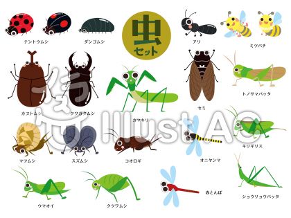 カブトムシイラスト 無料イラストなら イラストac