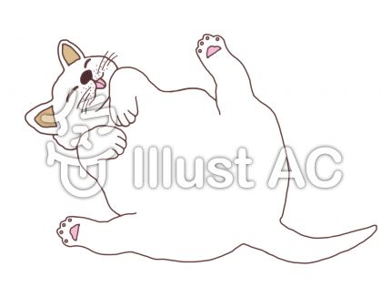 デブ猫イラスト 無料イラストなら イラストac