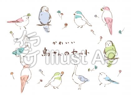 野鳥イラストイラスト 無料イラストなら イラストac