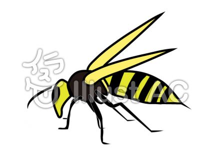 動物画像のすべて トップ100 かっこいい スズメバチ 蜂 イラスト
