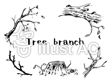 木の枝いろいろイラスト No 1635212 無料イラストなら イラストac