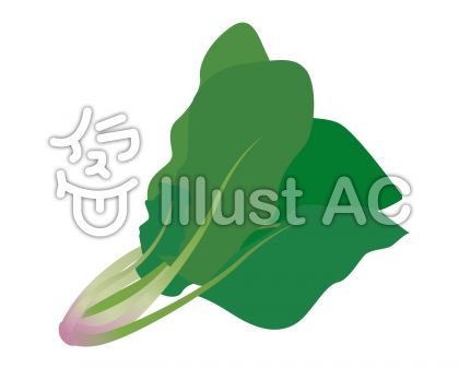 印刷 ほうれん草 イラスト 簡単 最高の壁紙のアイデアcahd