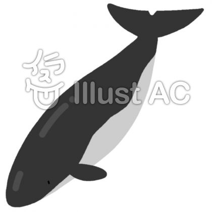 ミンククジライラスト 無料イラストなら イラストac