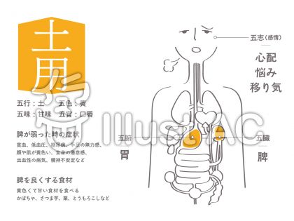 東洋医学イラスト 無料イラストなら イラストac