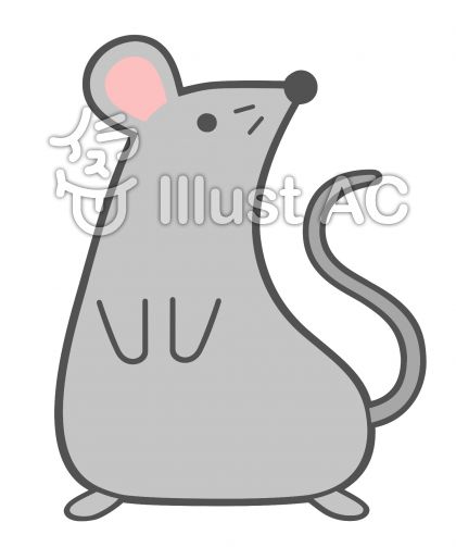 ラットイラスト 無料イラストなら イラストac