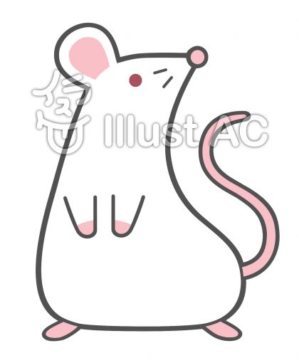 ラットイラスト 無料イラストなら イラストac