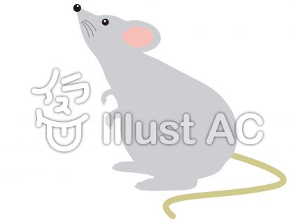 Ratイラスト 無料イラストなら イラストac