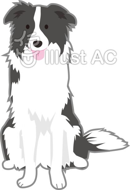 ボーダーコリーイラスト 無料イラストなら イラストac