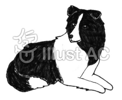 ボーダーコリーイラスト 無料イラストなら イラストac