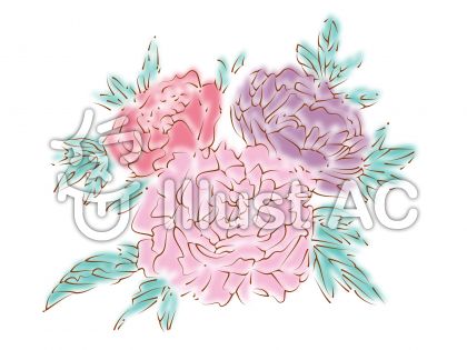 コンプリート 芍薬 イラスト 簡単 動物画像無料