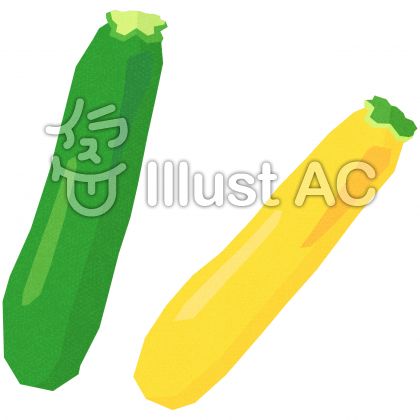 ズッキーニイラスト 無料イラストなら イラストac