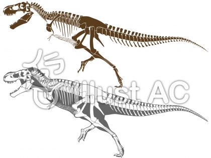 ティラノサウルス骨格イラスト 無料イラストなら イラストac