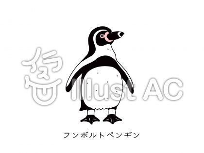 フンボルトペンギンイラスト 無料イラストなら イラストac