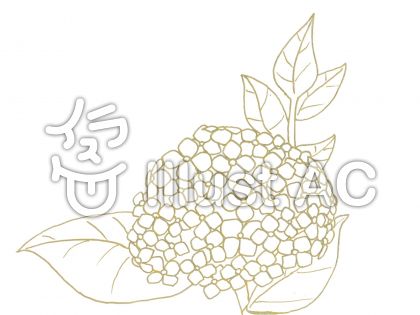 イラストレーター 冬花さんのプロフィール／無料イラストなら「イラストAC」