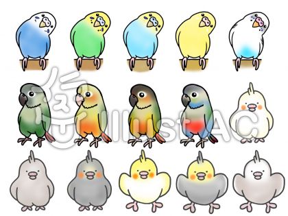 ウロコインコイラスト 無料イラストなら イラストac