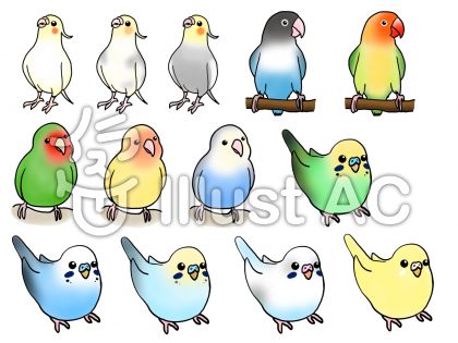 ゆるい インコ イラスト かわいい