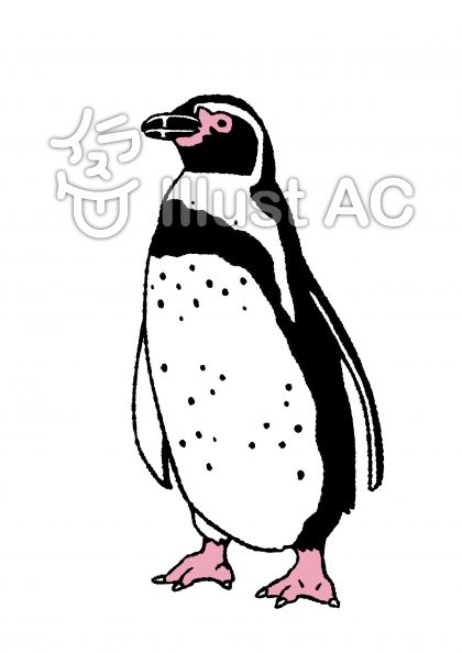 フンボルトペンギンイラスト 無料イラストなら イラストac