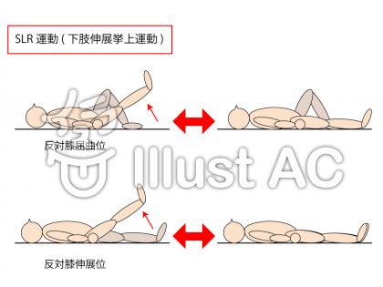 下肢伸展挙上運動イラスト 無料イラストなら イラストac