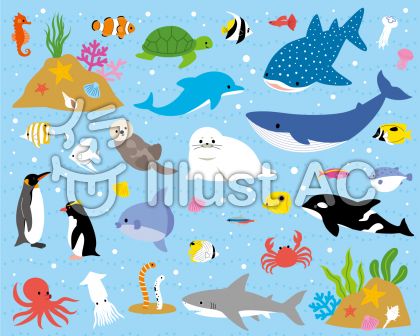 海の生物 イラスト 最高の壁紙のアイデアcahd