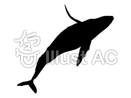 99以上 クジラ イラスト シルエット 家のイラスト